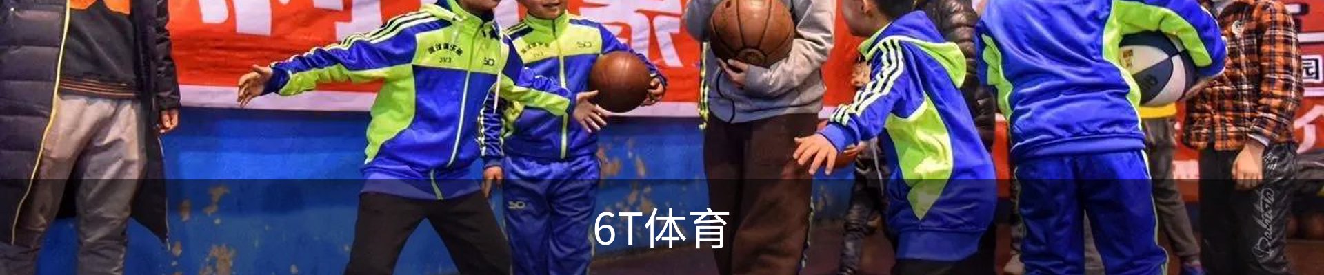 6T体育